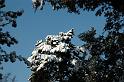 2009-01-08, Schnee (2)